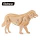 Rowood 3D Fa Puzzle háziállat Kutya 24 db JP111