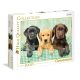 Clementoni Puzzle Three Labrador 39279 Kiváló minőségű 1000 darab