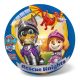 Gumilabda gyerekeknek Paw Patrol 14cm Rescue Knights