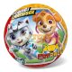 Gumilabda gyerekeknek Paw Patrol 14cm Catpack